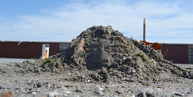 DEV DALGALARDAN GERİYE KUM VE MİDYE TEPECİKLERİ KALDI