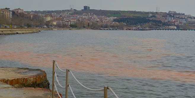 MARMARA DENİZİ TURUNCUYA BOYANDI