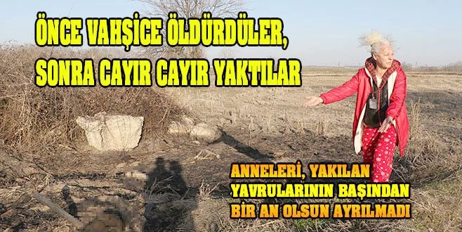 EDİRNE?DE KAN DONDURAN VAHŞET