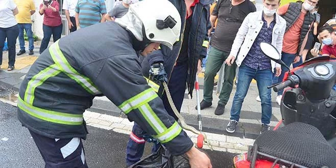 MOTOSİKLETİN İÇİNDEN ENGEREK YILANI ÇIKTI