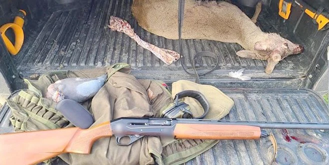 KORUMA ALTINDAKİ KARACAYI VURAN ŞAHSA 9 BİN 685 TL PARA CEZASI