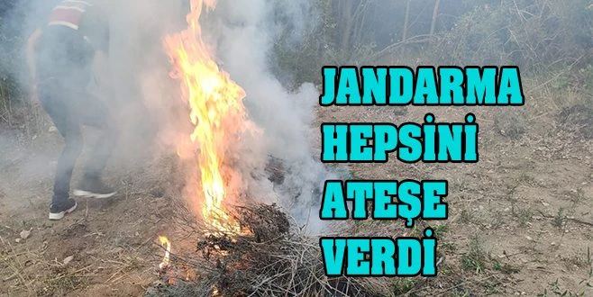 MALKARA?DA 840 KÖK HİNT KENEVİRİ ELE GEÇİRİLDİ