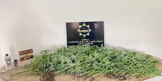 ÇATIDA KENEVİR SERASI KURMUŞLAR