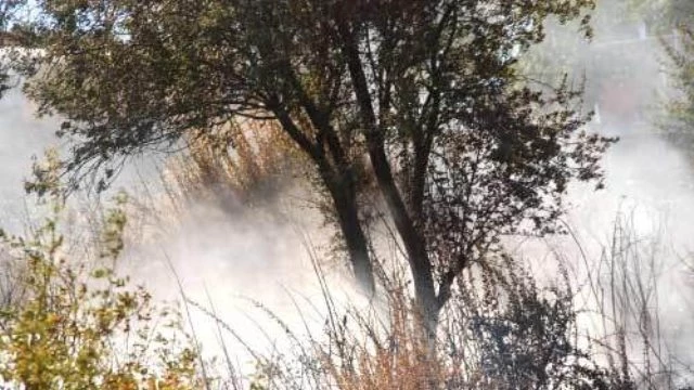 Kızılcahamam`da Meşelik Yandı
