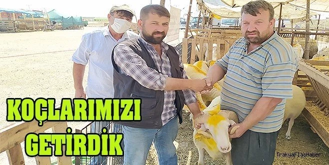 KURBANLIKLAR GÖRÜCÜYE ÇIKTI