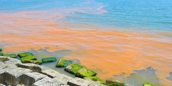  MARMARA DENİZİ YİNE TURUNCUYA BÜRÜNDÜ