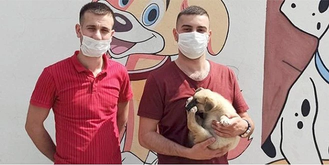 ÇORLU BELEDİYESİ 185 KÖPEK 49 KEDİ SAHİPLENDİRDİ