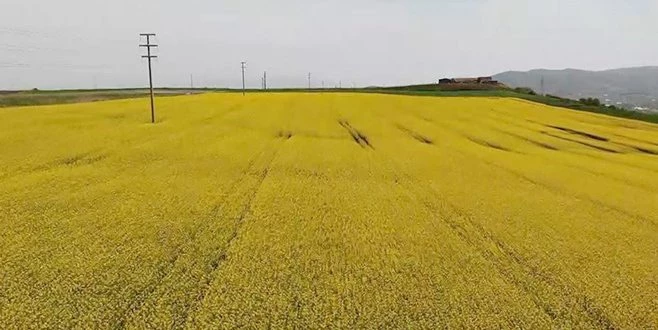 SARI İLE YEŞİLİN SAVAŞI DRONE İLE GÖRÜNTÜLENDİ 