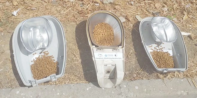 SOKAĞA DOĞANIN SESİ HAKİM