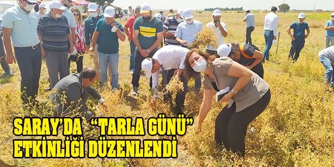 NOHUT ÜRETİMİNİN REKLAMINI YAPTILAR