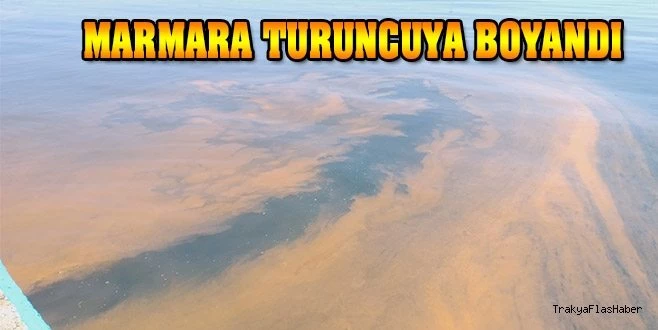 TEKİRDAĞ SAHİLLERİNDE TURUNCU RENK İSTİLASI