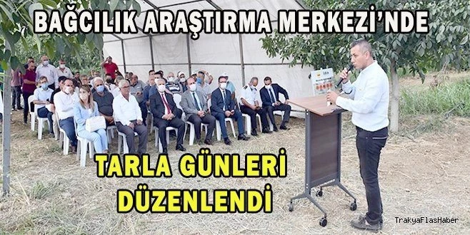 VALİ YILDIRIM: 