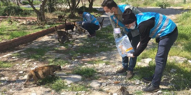 DİN GÖREVLİLERİ SOKAK HAYVANLARINI UNUTMADI