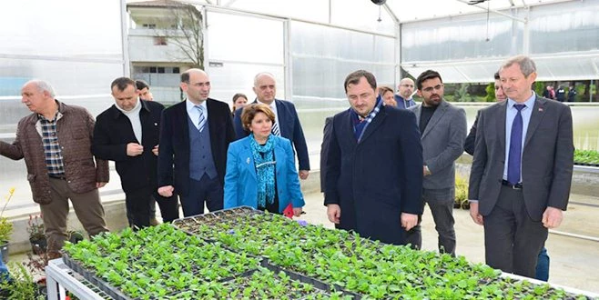 SÜLEYMANPAŞA?NIN ÇİÇEKLERİ ZİRAATBİYOTEK?TE YEŞERECEK