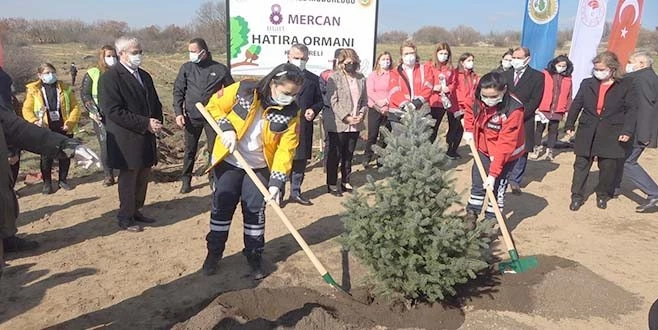 KADINLAR FİDAN DİKTİ