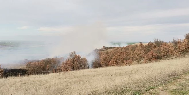 TEKİRDAĞ`DA AĞAÇLIK ALANDA YANGIN