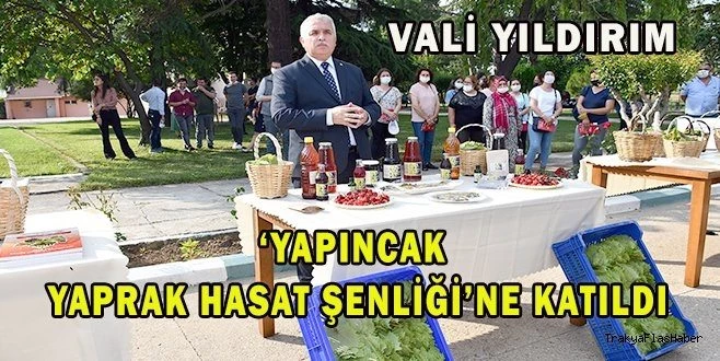 YAPINCAK YAPRAK HASAT ŞENLİĞİ BAŞLADI