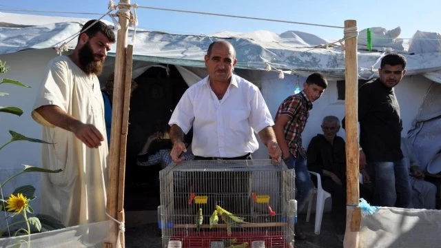 Yaşadığı Çadırın Bir Bölümünü Kuşlarına Ayırdı